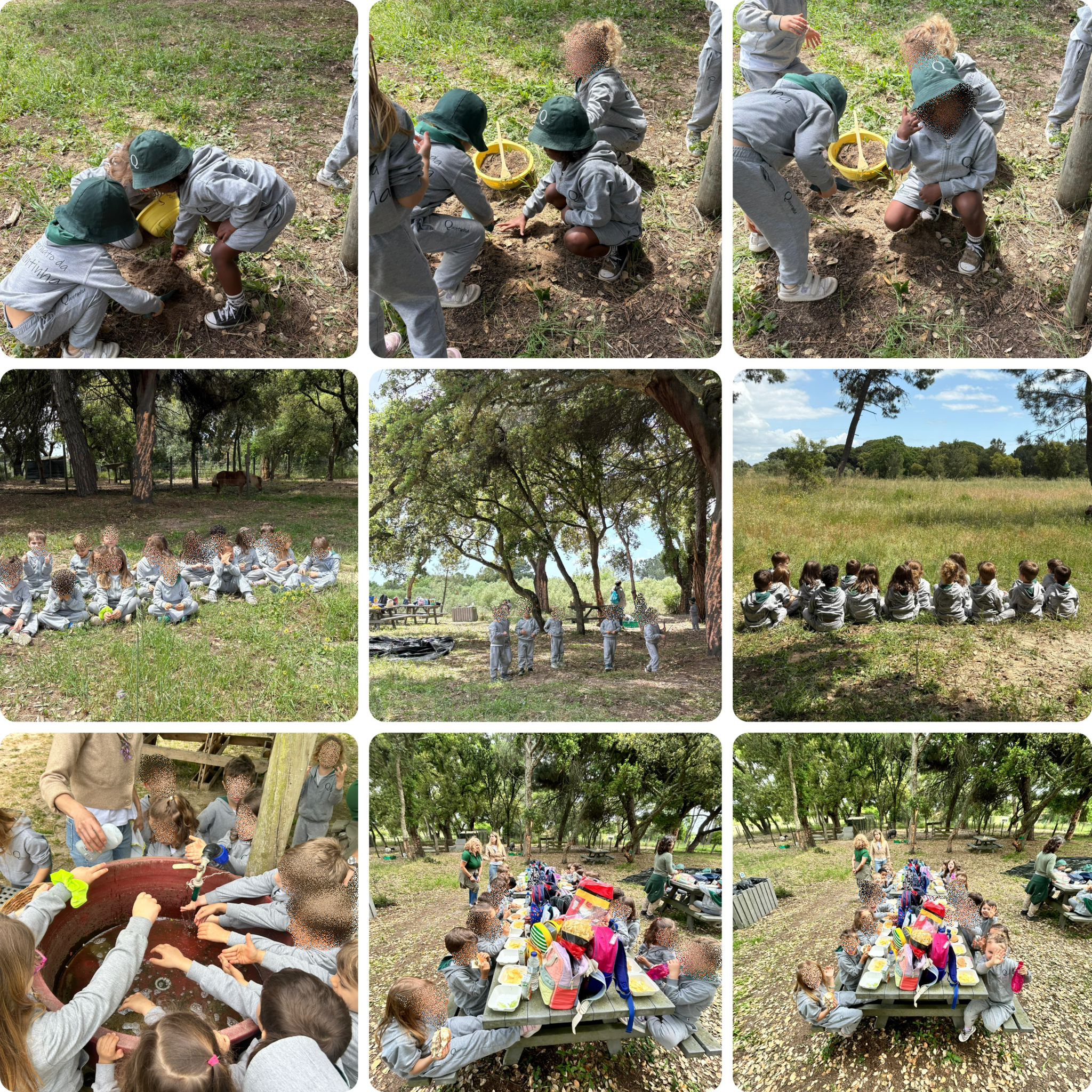 quinta courela dos pegos 2_a quinta courela dos pegos 2_a
